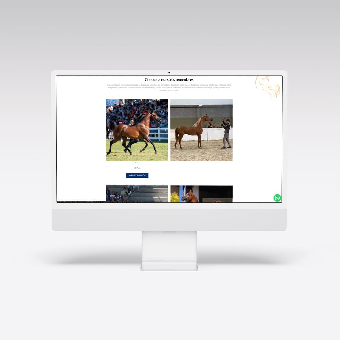 Web para Fuengo Arabian - Agarimo Comunicación
