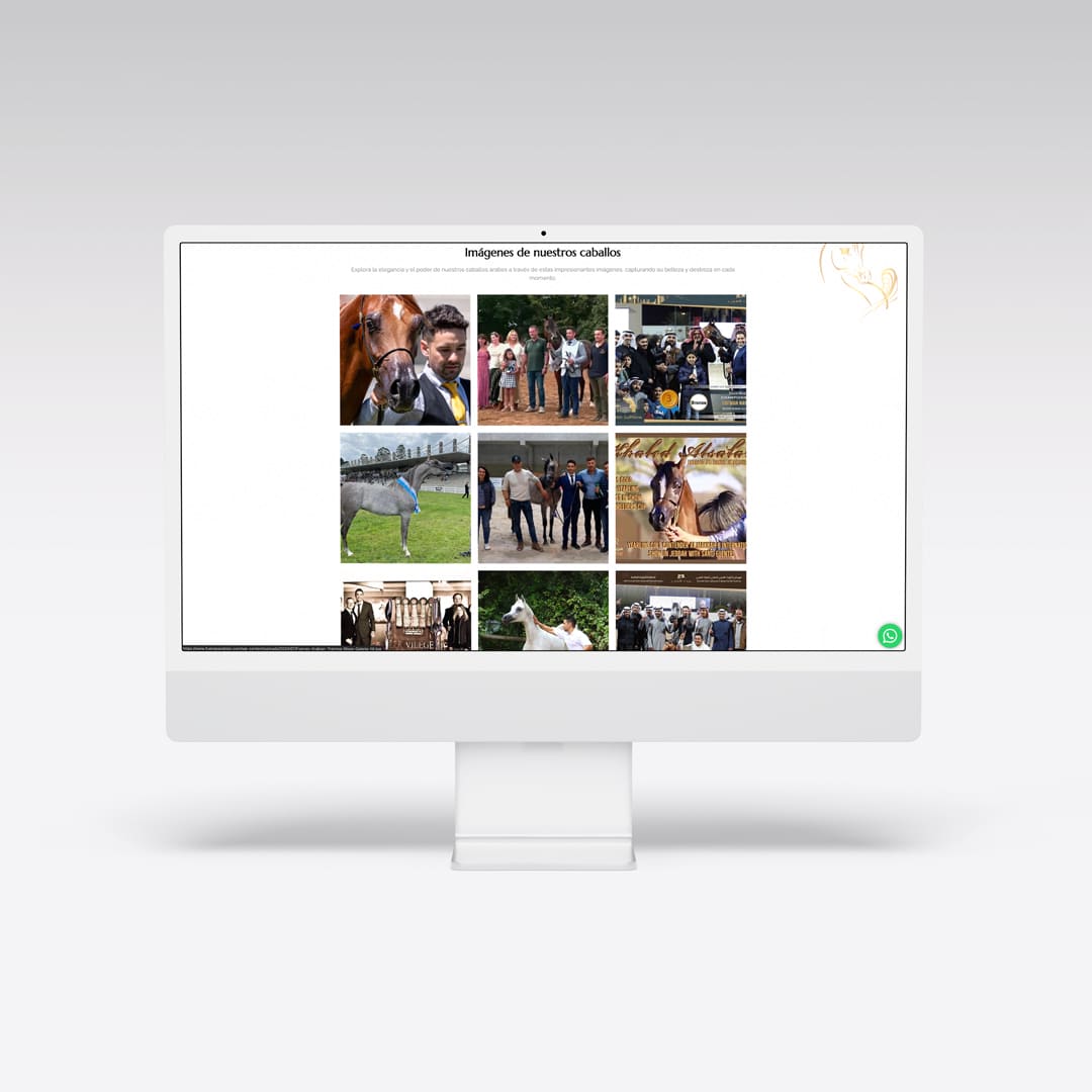 Web para Fuengo Arabian - Agarimo Comunicación